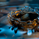 Illustration for article titled Shooting Challenge: Water Drop Gallery Part 2